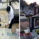 Polres Barsel Ungkap Perusakan Makam, Enam Pelaku Anak Dibina dan Berdamai